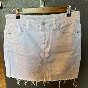 Wild Fable Purple Jean Denim Skirt